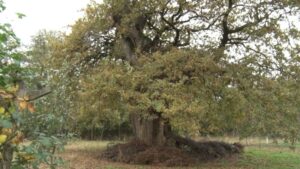 Запис у селу Мијатовац